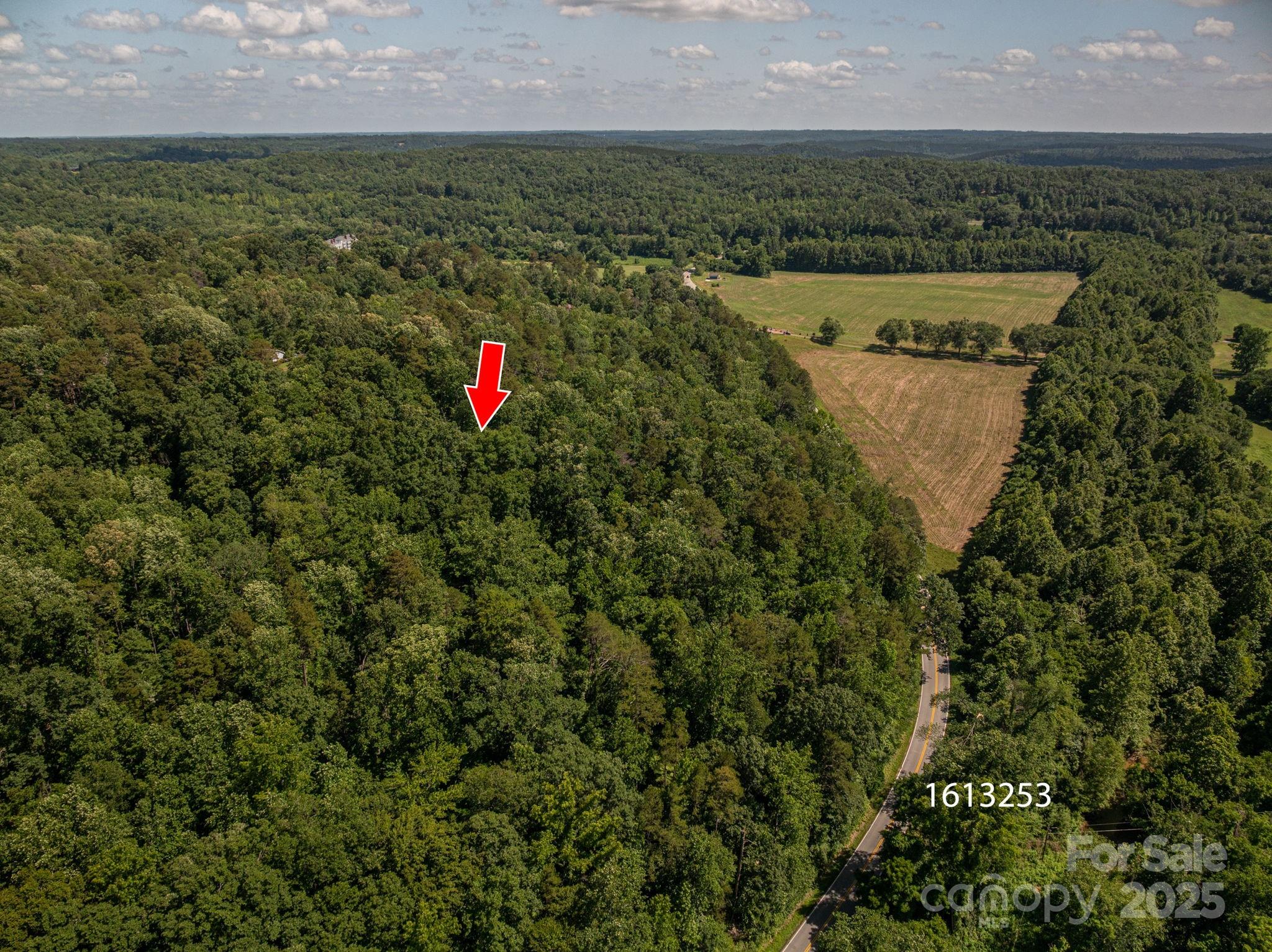 Lot 165 Plantation Drive Rutherfordton NC 28139