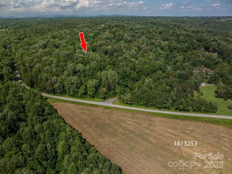 Lot 165 Plantation Drive Rutherfordton NC 28139