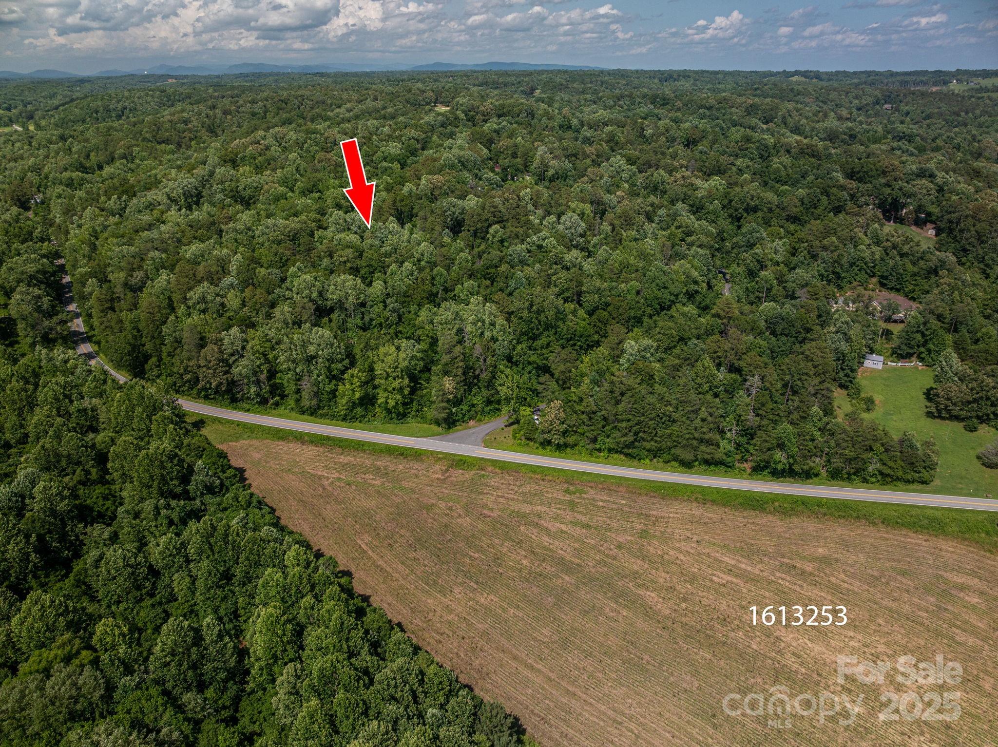 Lot 165 Plantation Drive Rutherfordton NC 28139