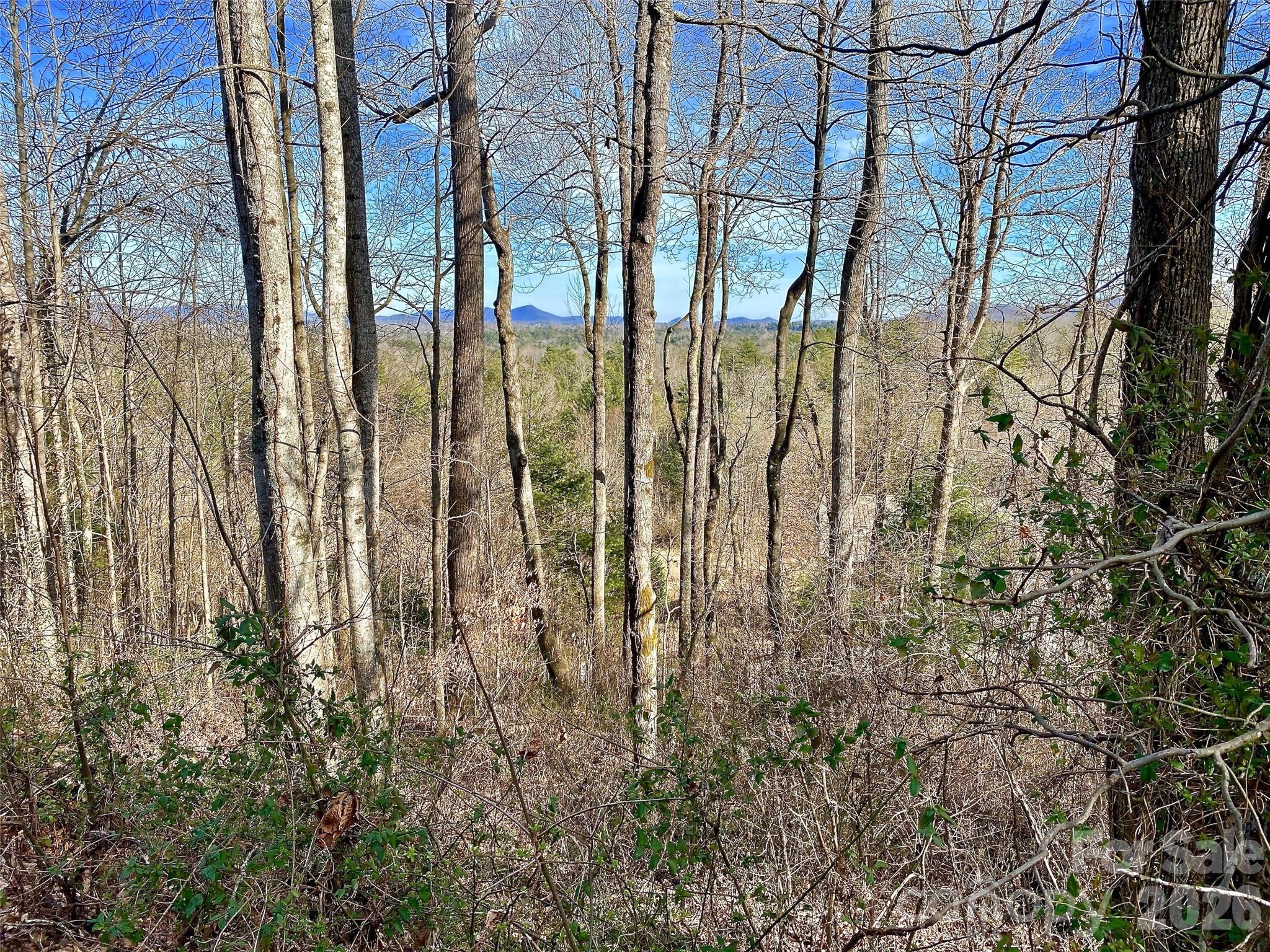174 High Road Overlook Hendersonville NC 28739