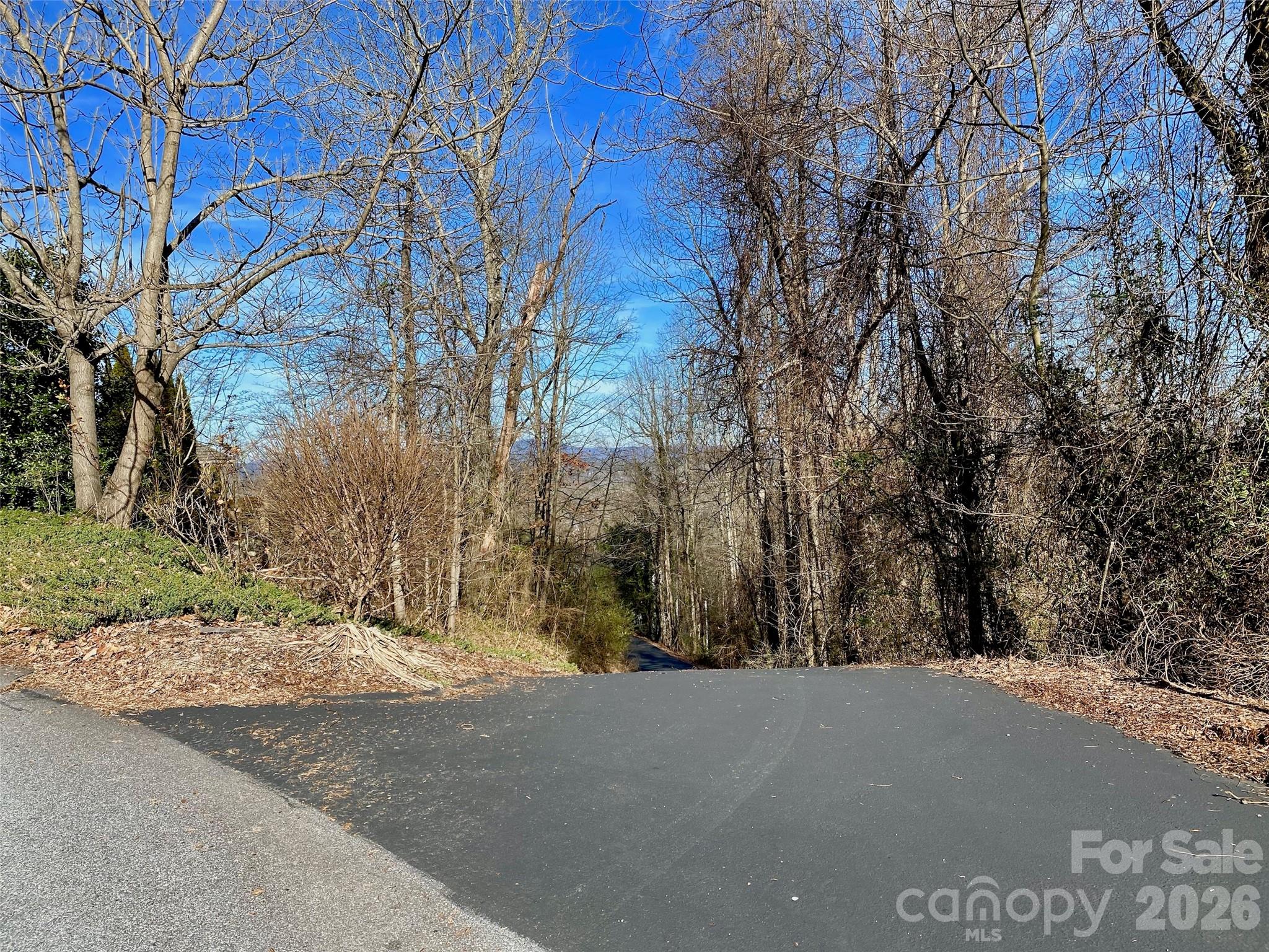 174 High Road Overlook Hendersonville NC 28739