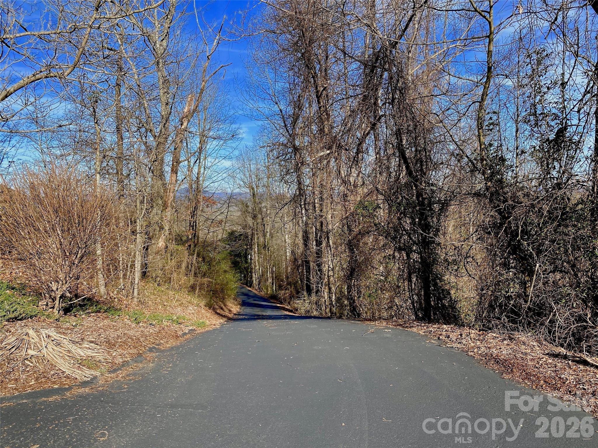 174 High Road Overlook Hendersonville NC 28739