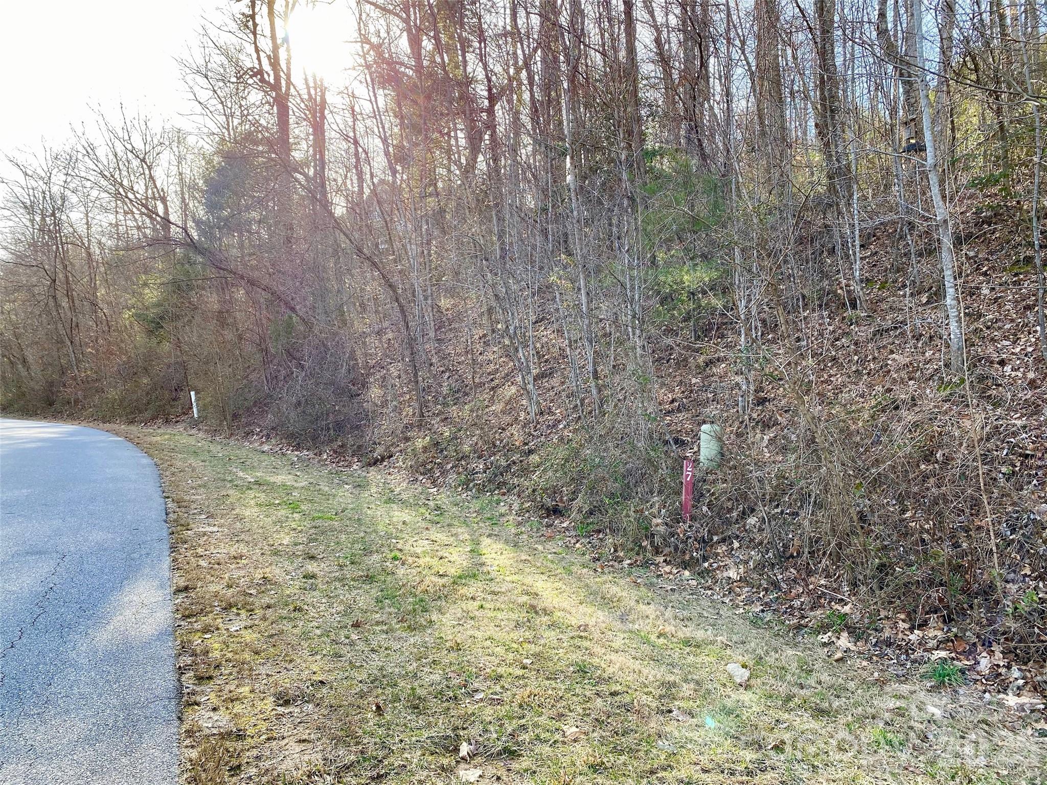174 High Road Overlook Hendersonville NC 28739