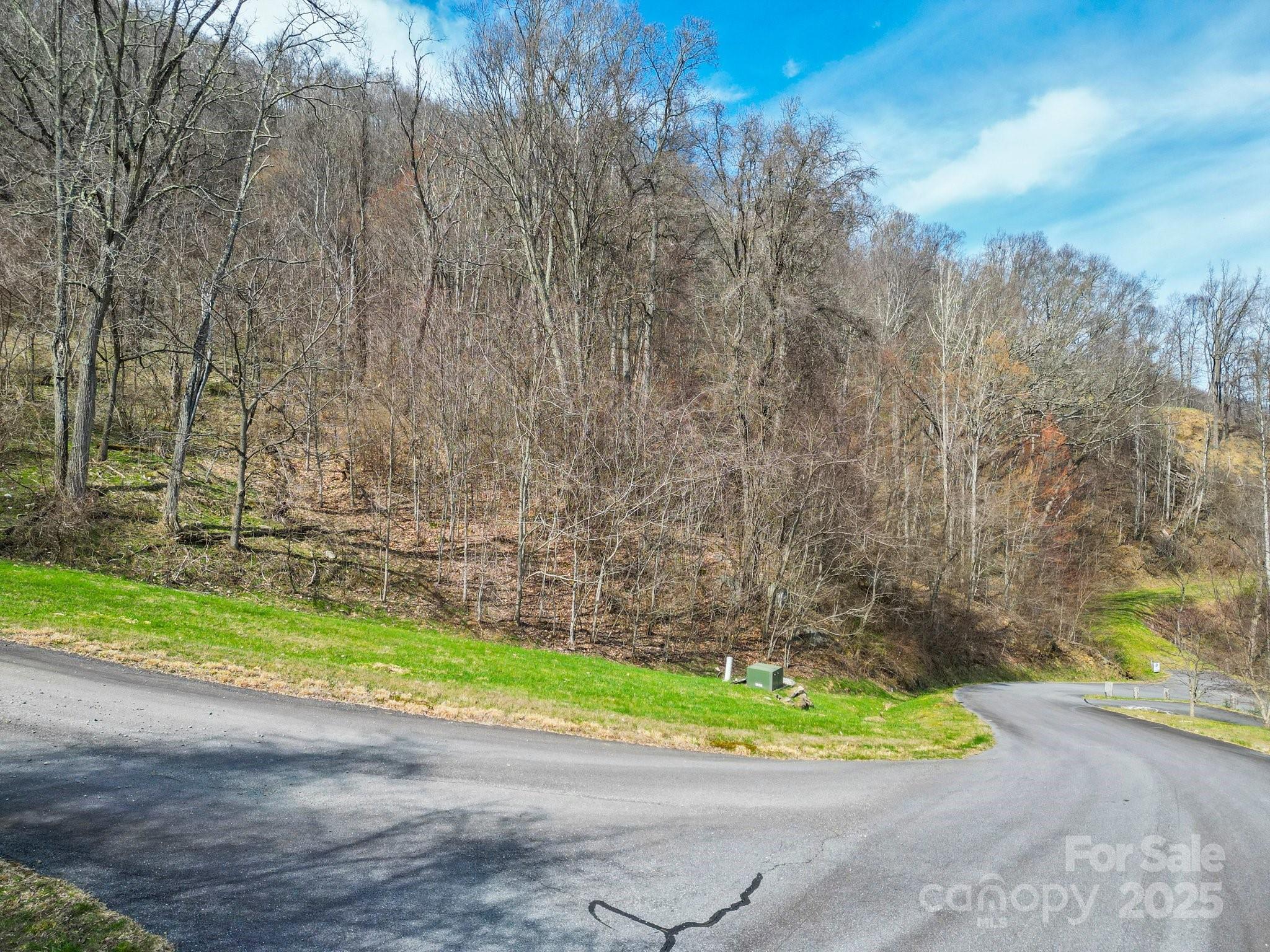580 Freemont Drive Leicester NC 28748