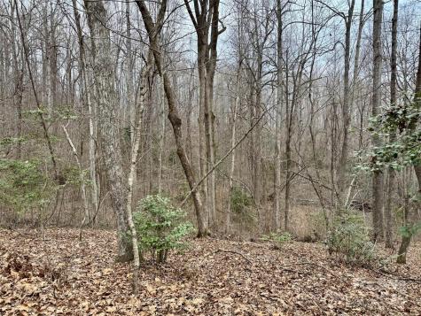 000 Orchard Mountain Road Saluda NC 28773