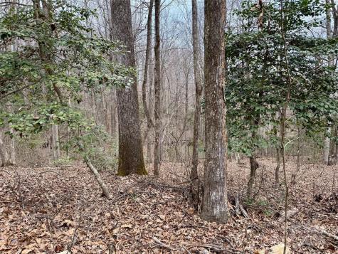 000 Orchard Mountain Road Saluda NC 28773