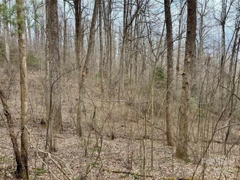 000 Orchard Mountain Road Saluda NC 28773