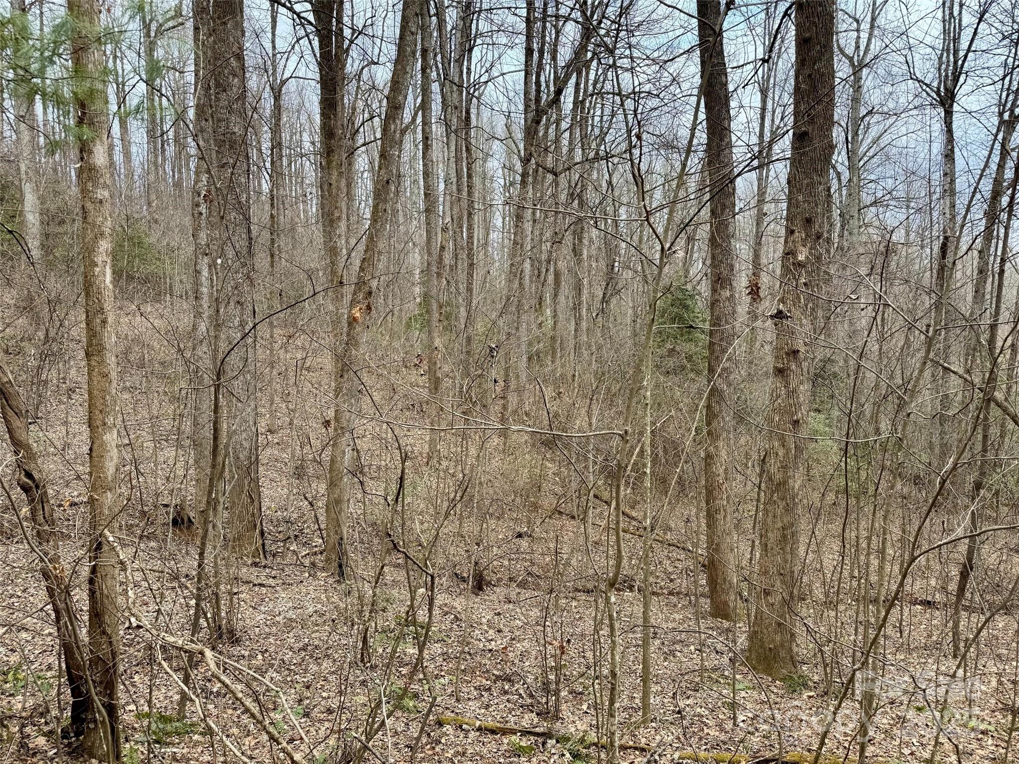 000 Orchard Mountain Road Saluda NC 28773