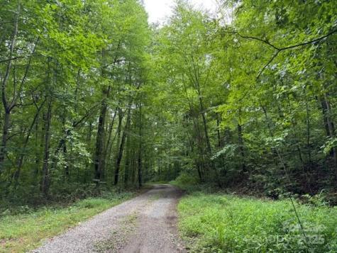 000 Orchard Mountain Road Saluda NC 28773