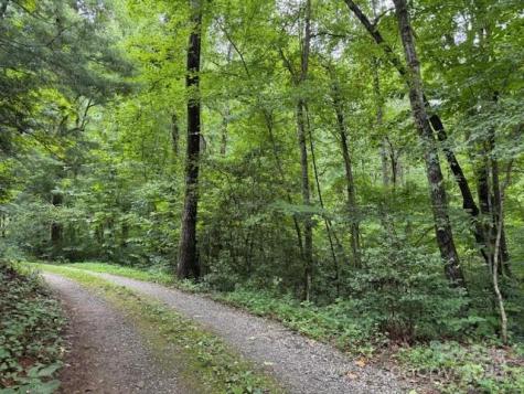 000 Orchard Mountain Road Saluda NC 28773