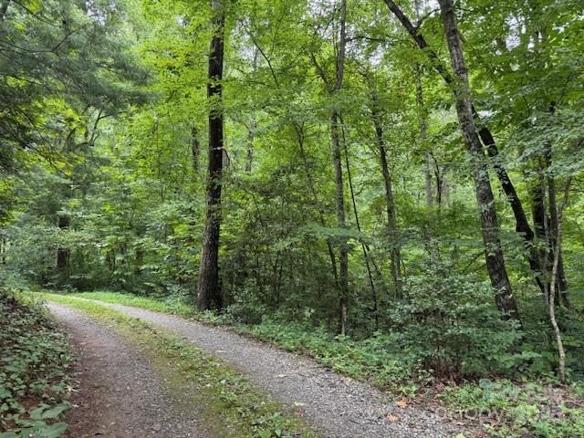 000 Orchard Mountain Road Saluda NC 28773