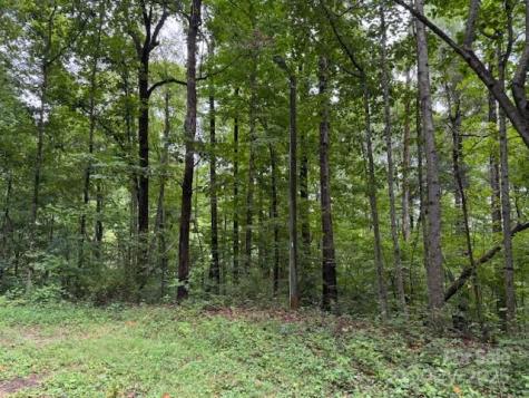 000 Orchard Mountain Road Saluda NC 28773