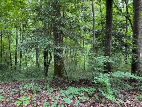 000 Orchard Mountain Road Saluda NC 28773