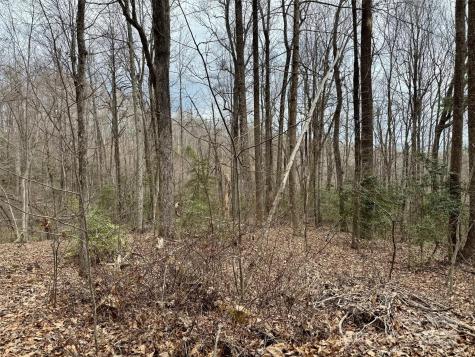 000 Orchard Mountain Road Saluda NC 28773