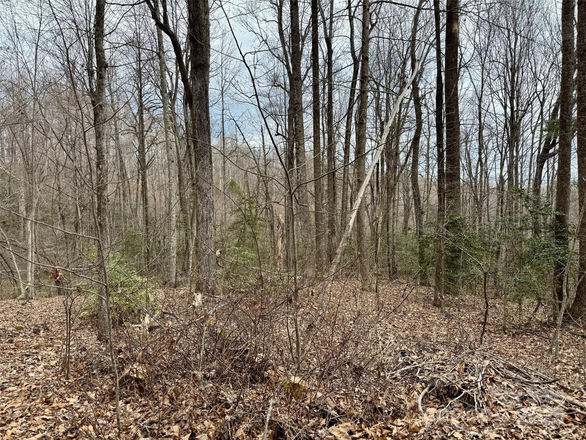 000 Orchard Mountain Road Saluda NC 28773