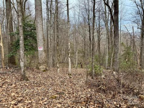 000 Orchard Mountain Road Saluda NC 28773