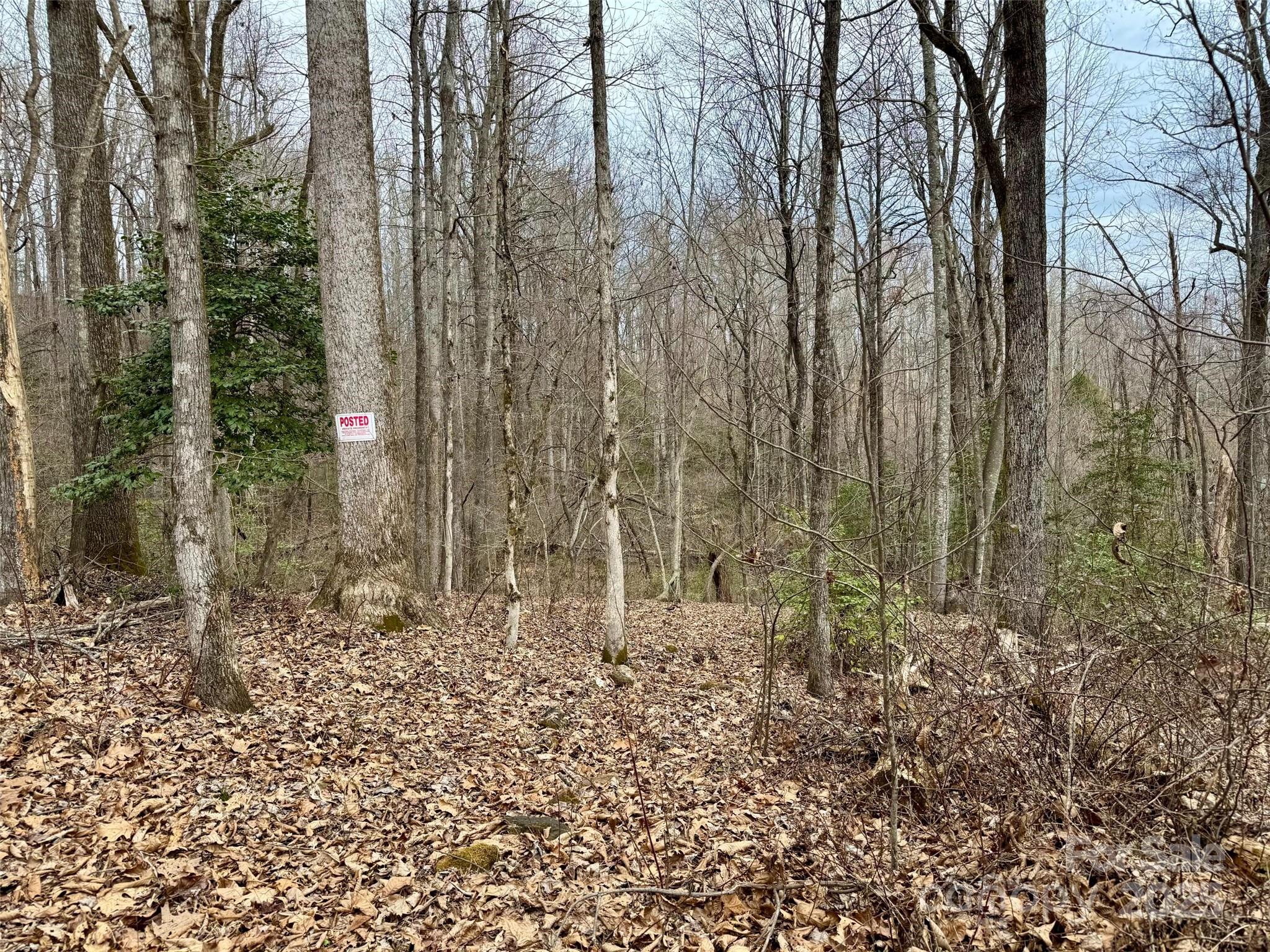 000 Orchard Mountain Road Saluda NC 28773