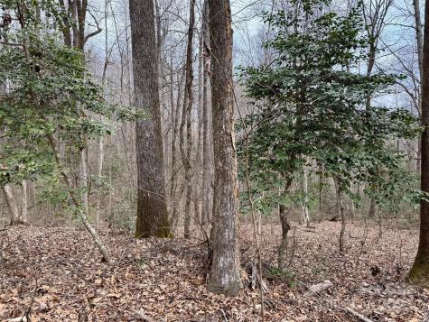 000 Orchard Mountain Road Saluda NC 28773