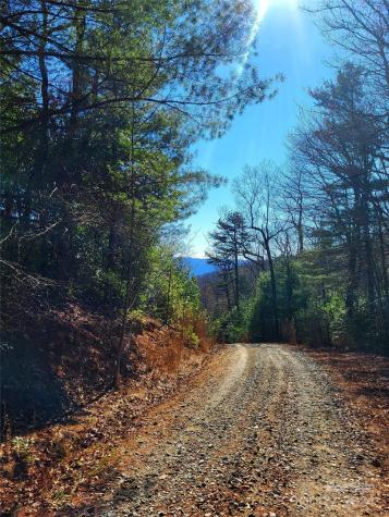 Lot D1 And D2 000 Dogwood Lane Penrose NC 28766