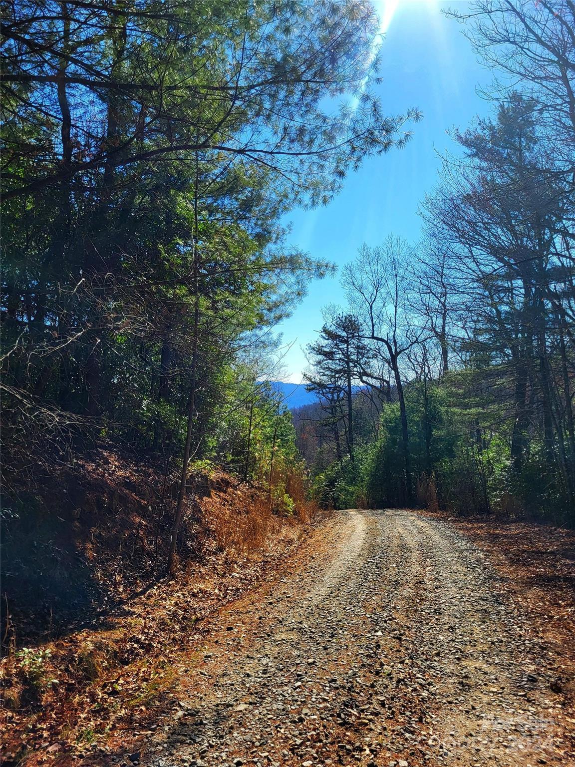 Lot D1 And D2 000 Dogwood Lane Penrose NC 28766