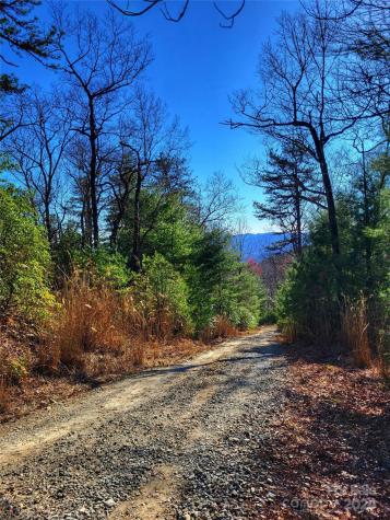 Lot D1 And D2 000 Dogwood Lane Penrose NC 28766