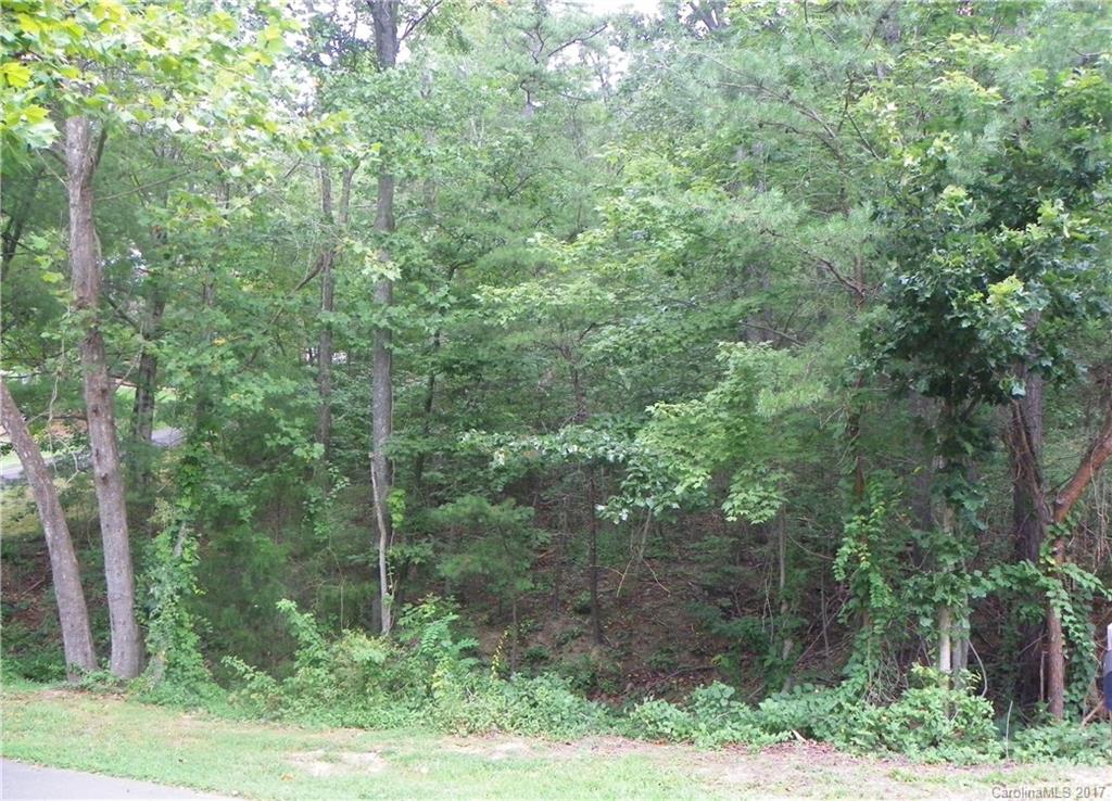 2 High Meadow Cove Weaverville NC 28787