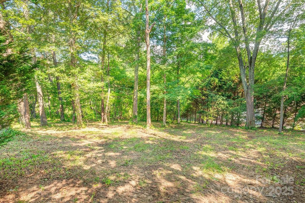 99999 Yost Street Weaverville NC 28787