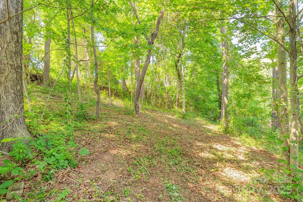 99999 Yost Street Weaverville NC 28787