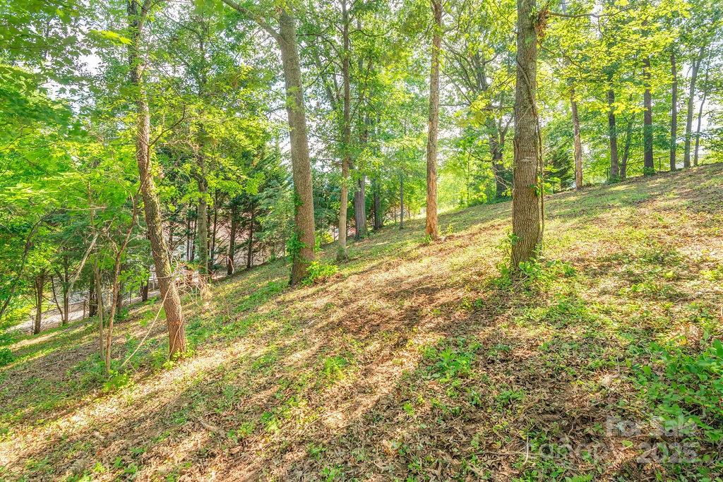 99999 Yost Street Weaverville NC 28787