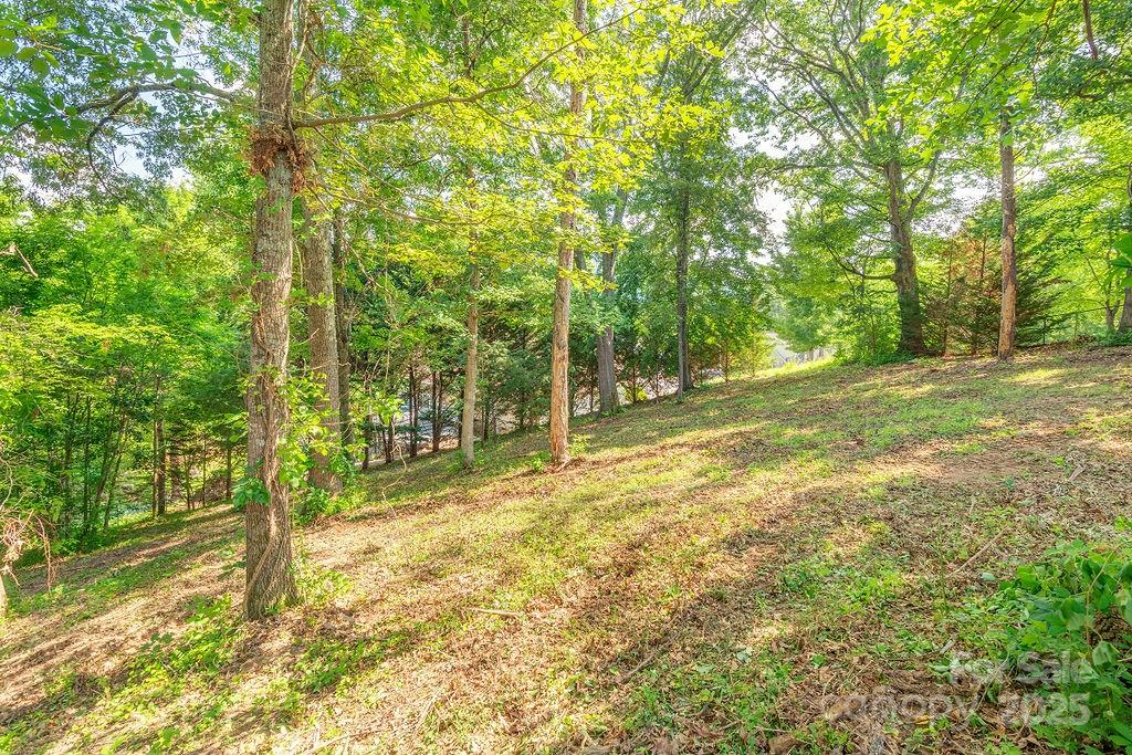 99999 Yost Street Weaverville NC 28787