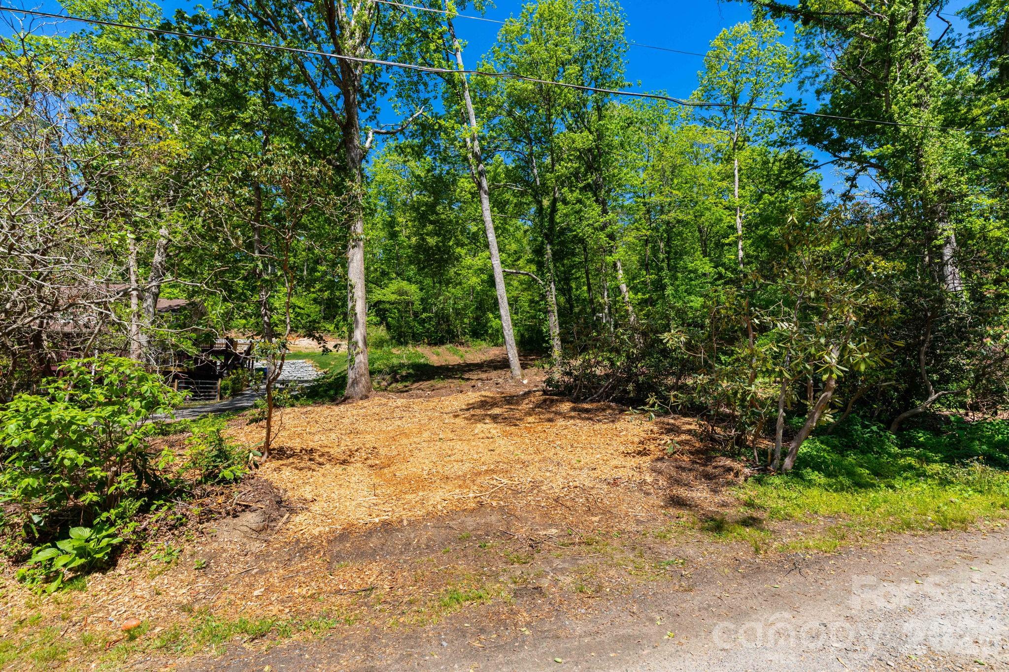 99999 Meeks Road Black Mountain NC 28711