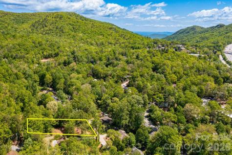 99999 Meeks Road Black Mountain NC 28711