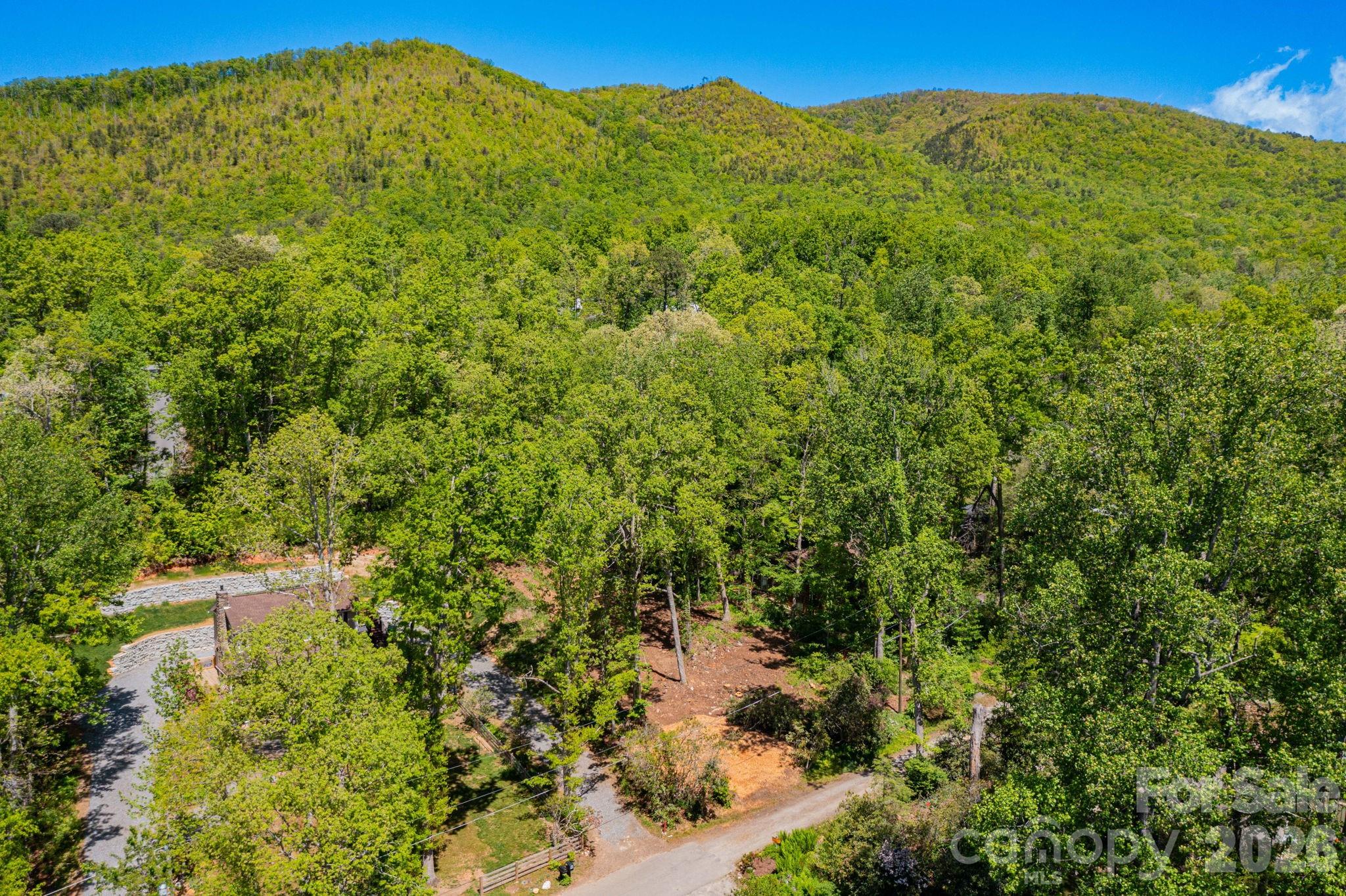 99999 Meeks Road Black Mountain NC 28711