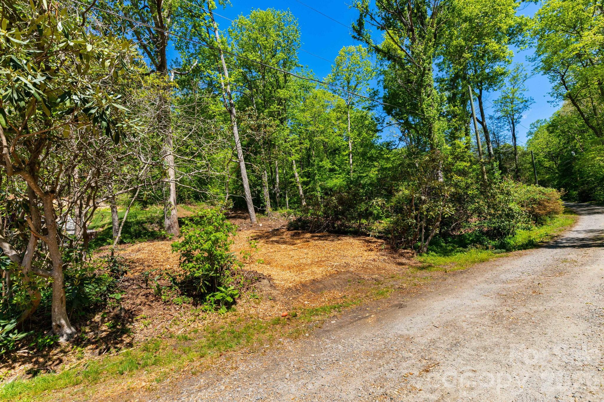 99999 Meeks Road Black Mountain NC 28711