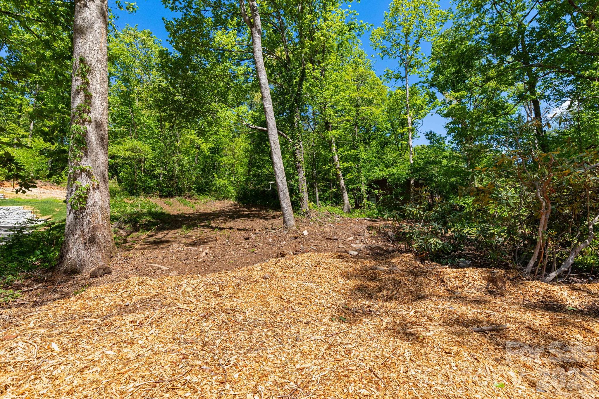 99999 Meeks Road Black Mountain NC 28711