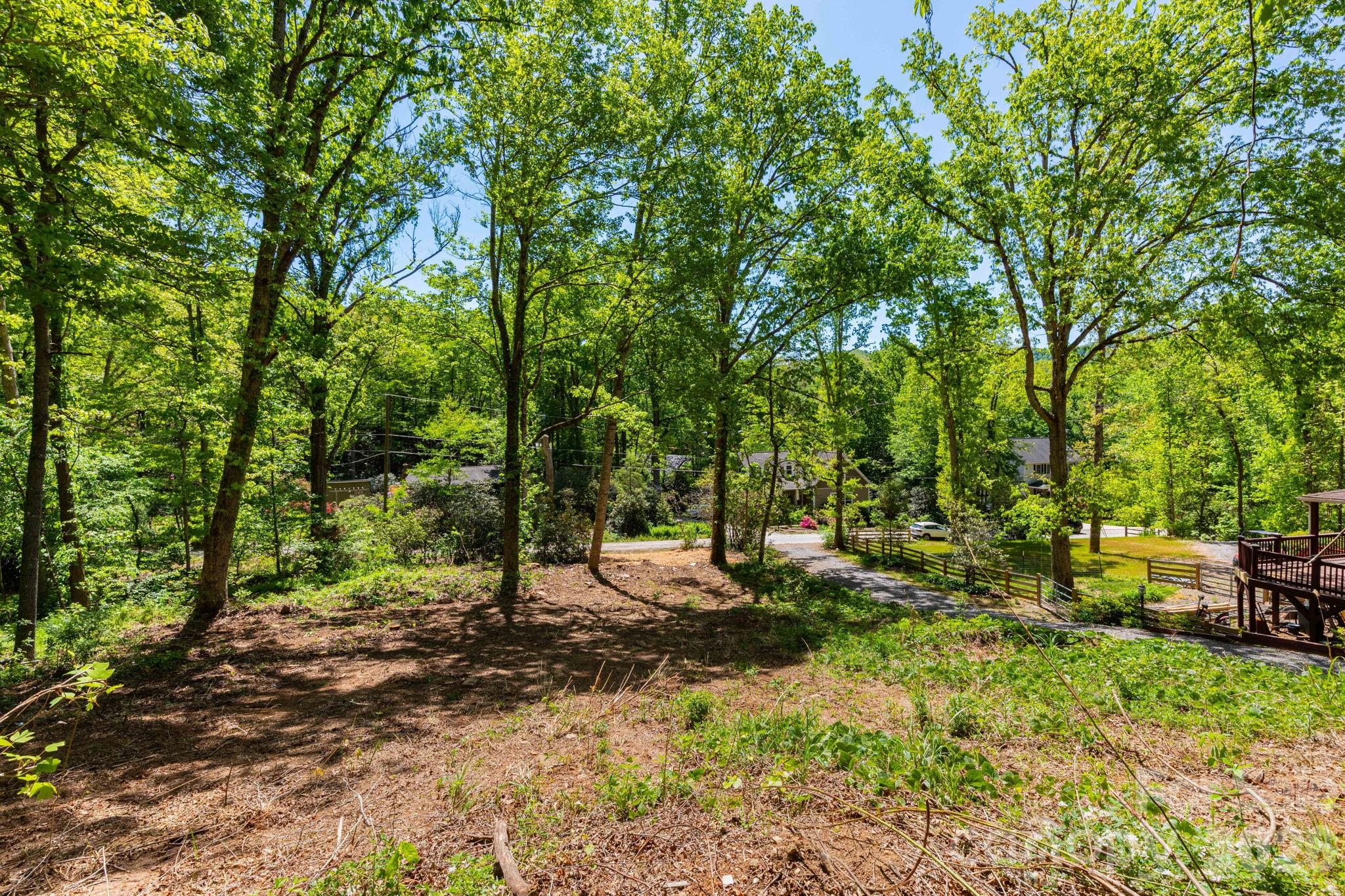99999 Meeks Road Black Mountain NC 28711