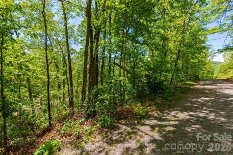 99999 Meeks Road Black Mountain NC 28711