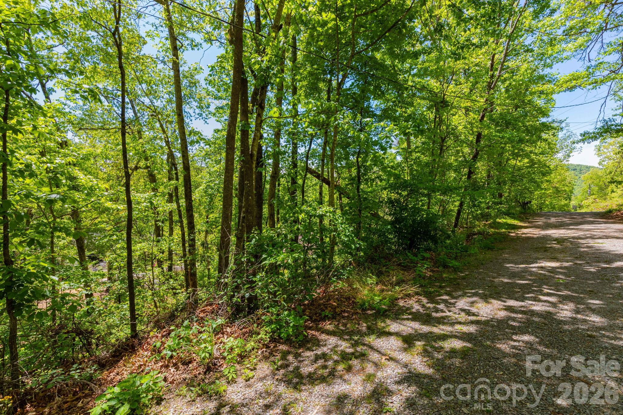 99999 Meeks Road Black Mountain NC 28711