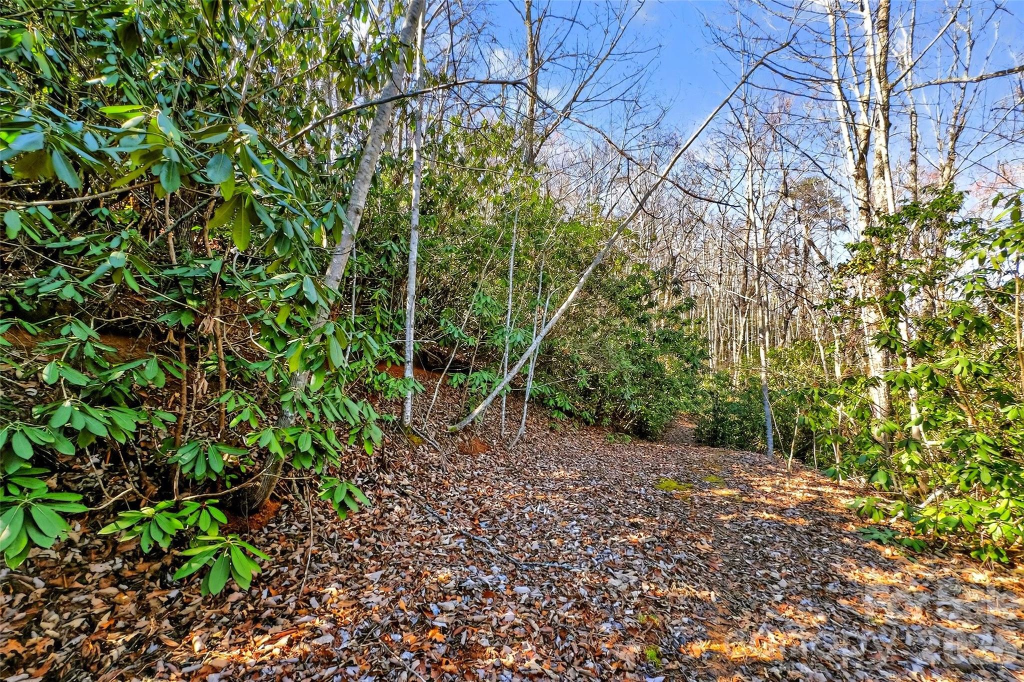 301 Black Pine Drive Old Fort NC 28762