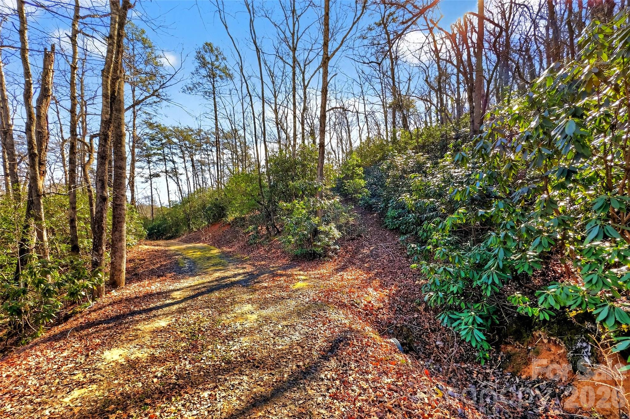 301 Black Pine Drive Old Fort NC 28762