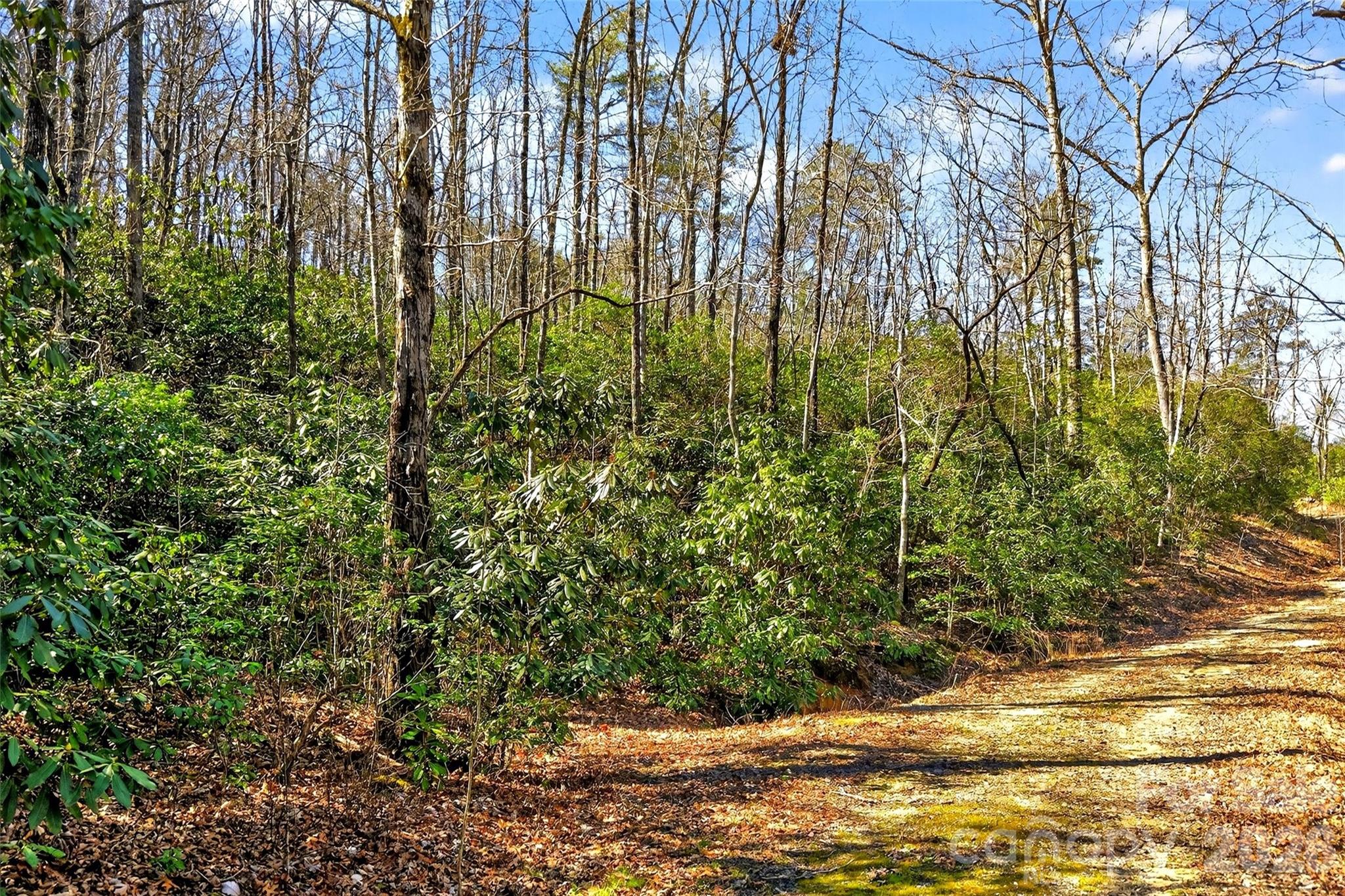 301 Black Pine Drive Old Fort NC 28762