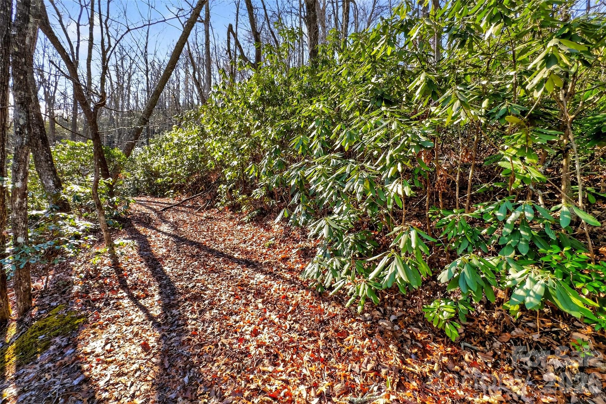 301 Black Pine Drive Old Fort NC 28762