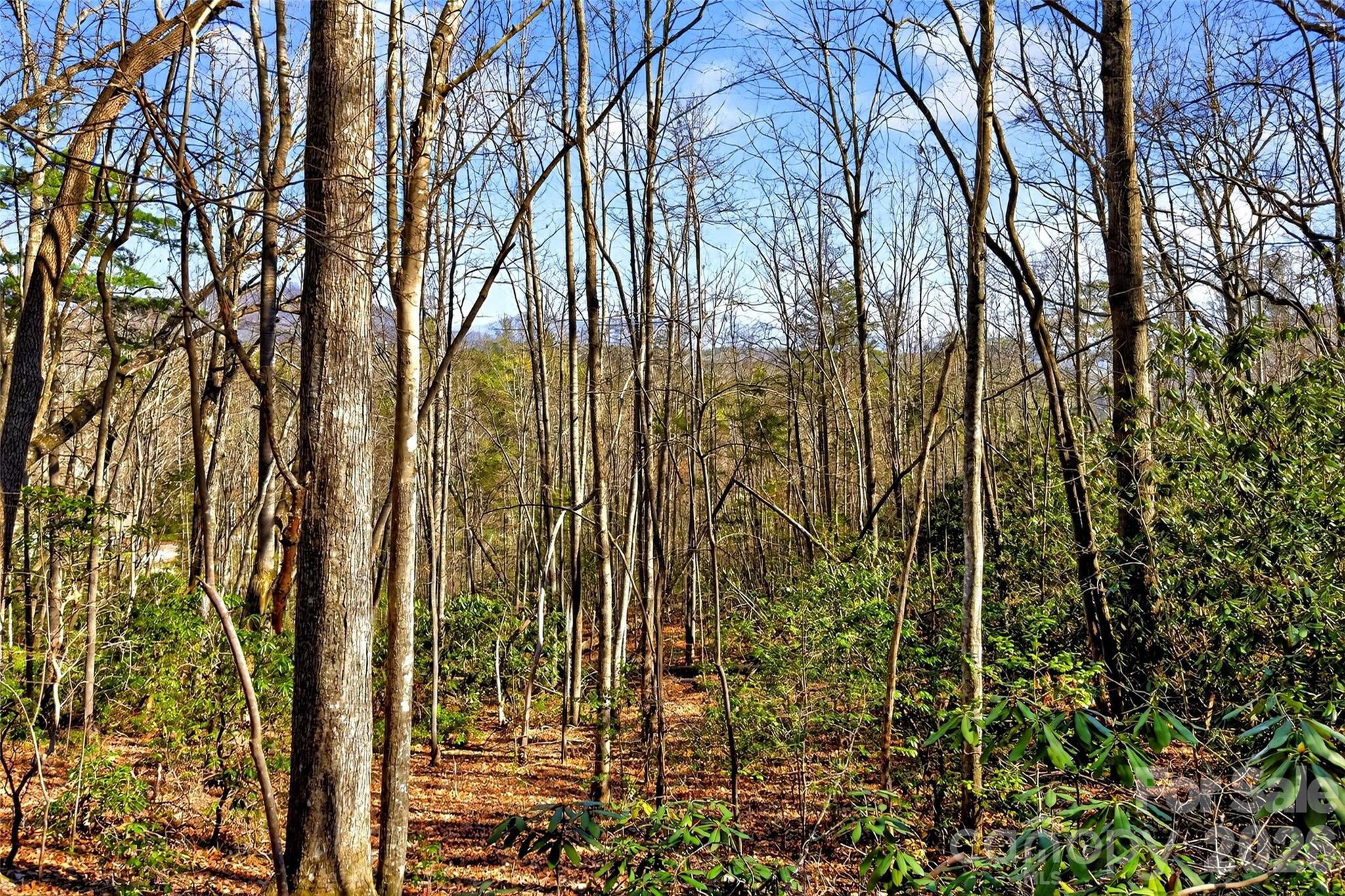 301 Black Pine Drive Old Fort NC 28762