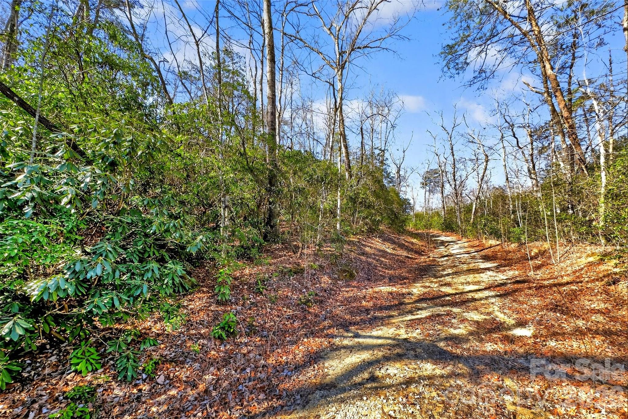 301 Black Pine Drive Old Fort NC 28762