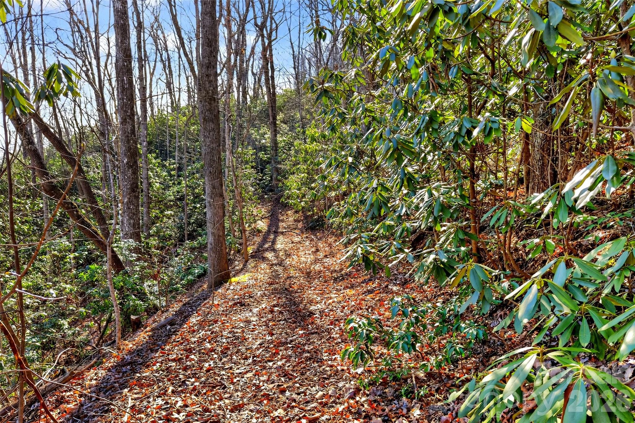 301 Black Pine Drive Old Fort NC 28762