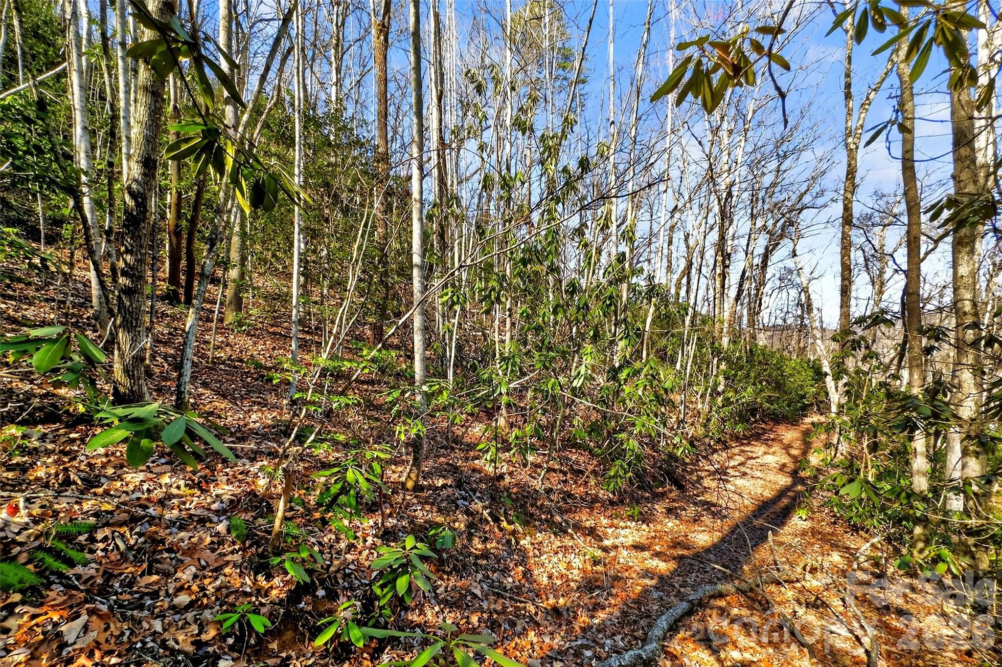 301 Black Pine Drive Old Fort NC 28762