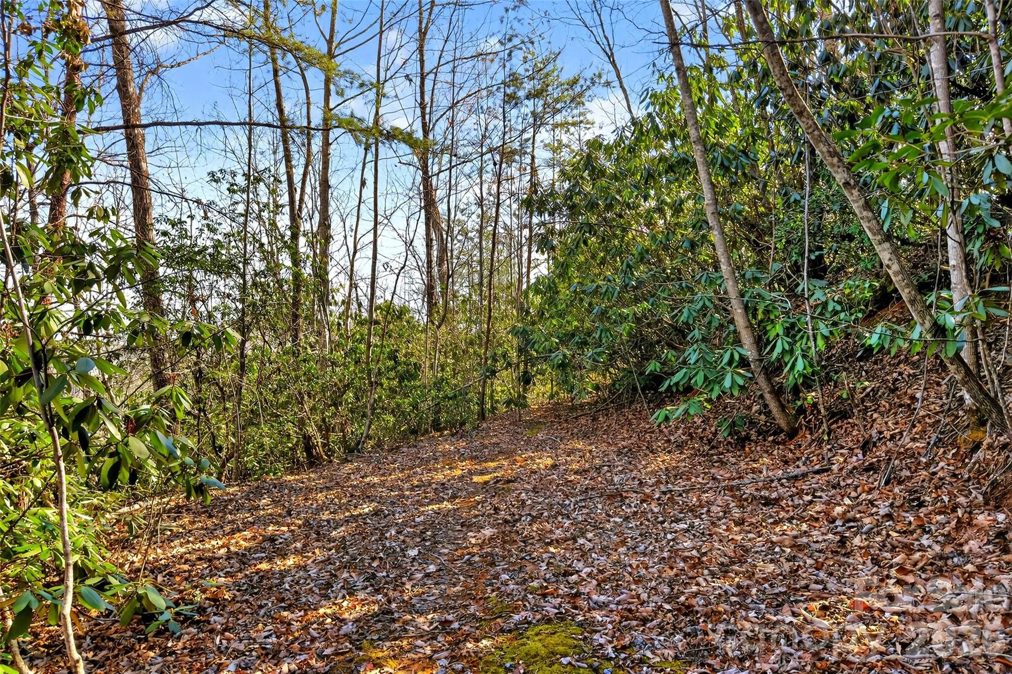 301 Black Pine Drive Old Fort NC 28762