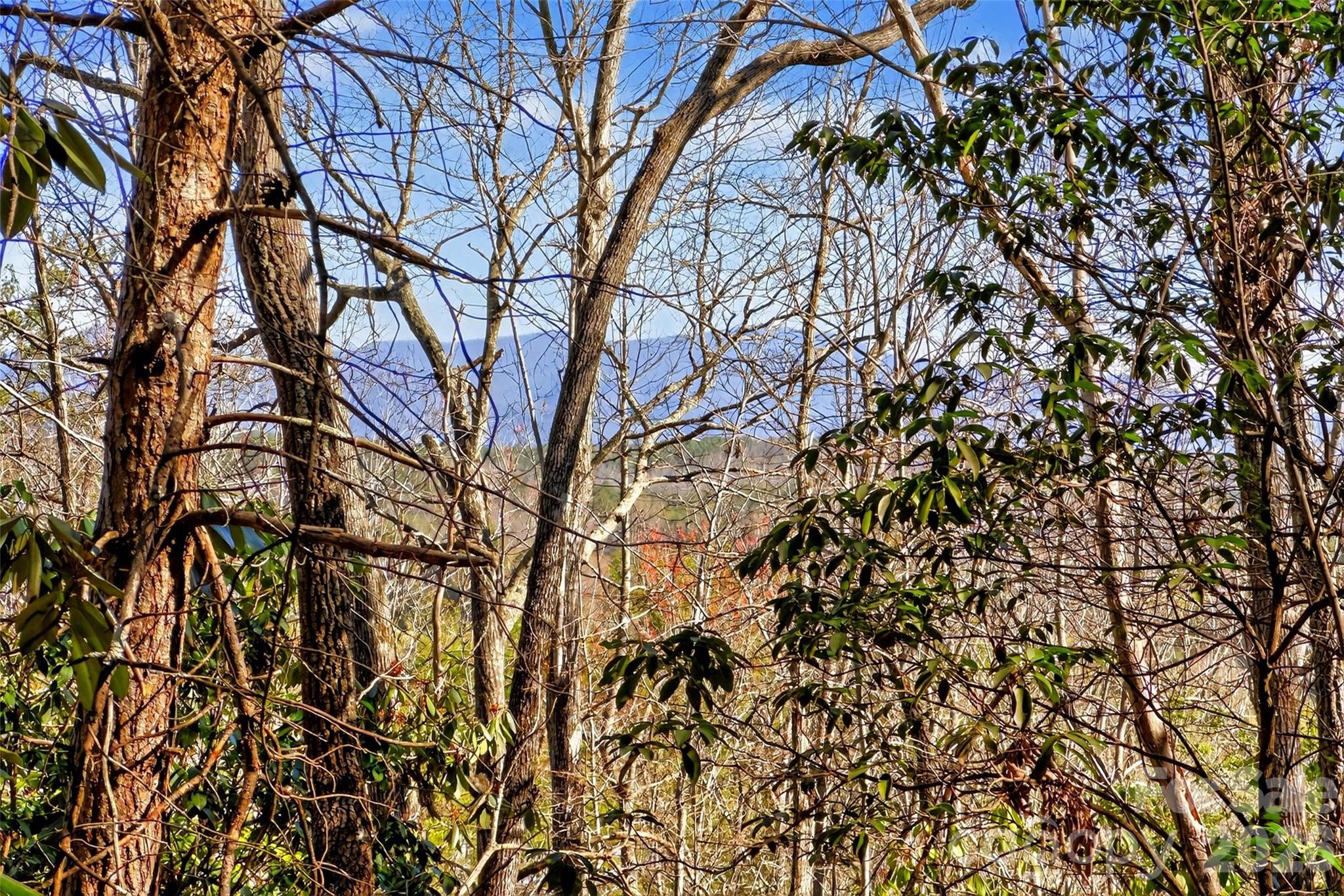 301 Black Pine Drive Old Fort NC 28762