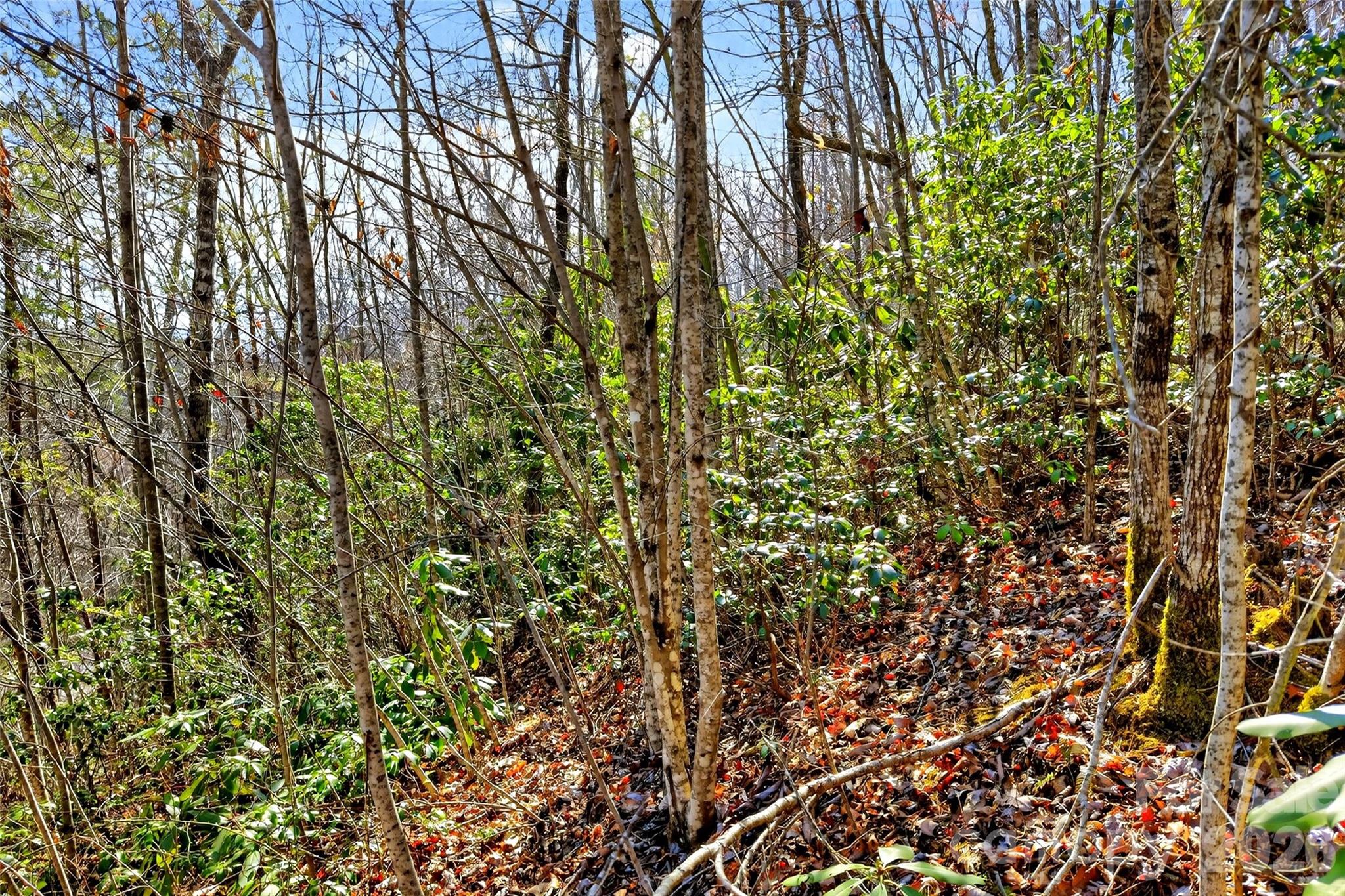 301 Black Pine Drive Old Fort NC 28762
