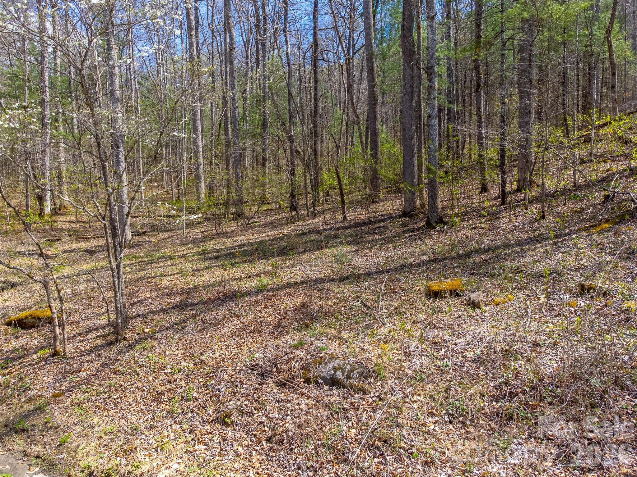 306 Cedar Creek Farm Road Tuckasegee NC 28783